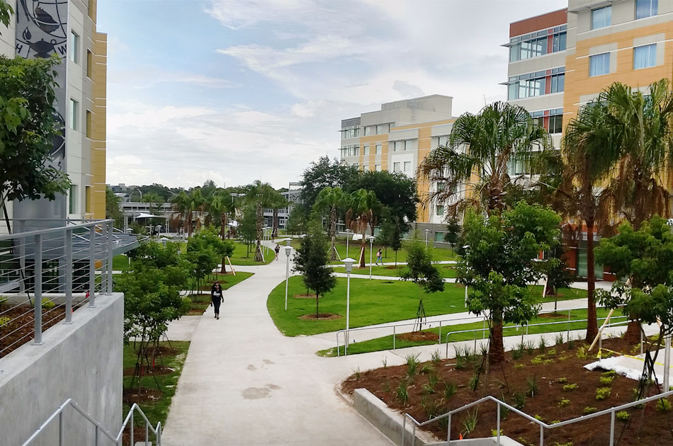 USF Residential VIllage CHW provided landscape architecture services