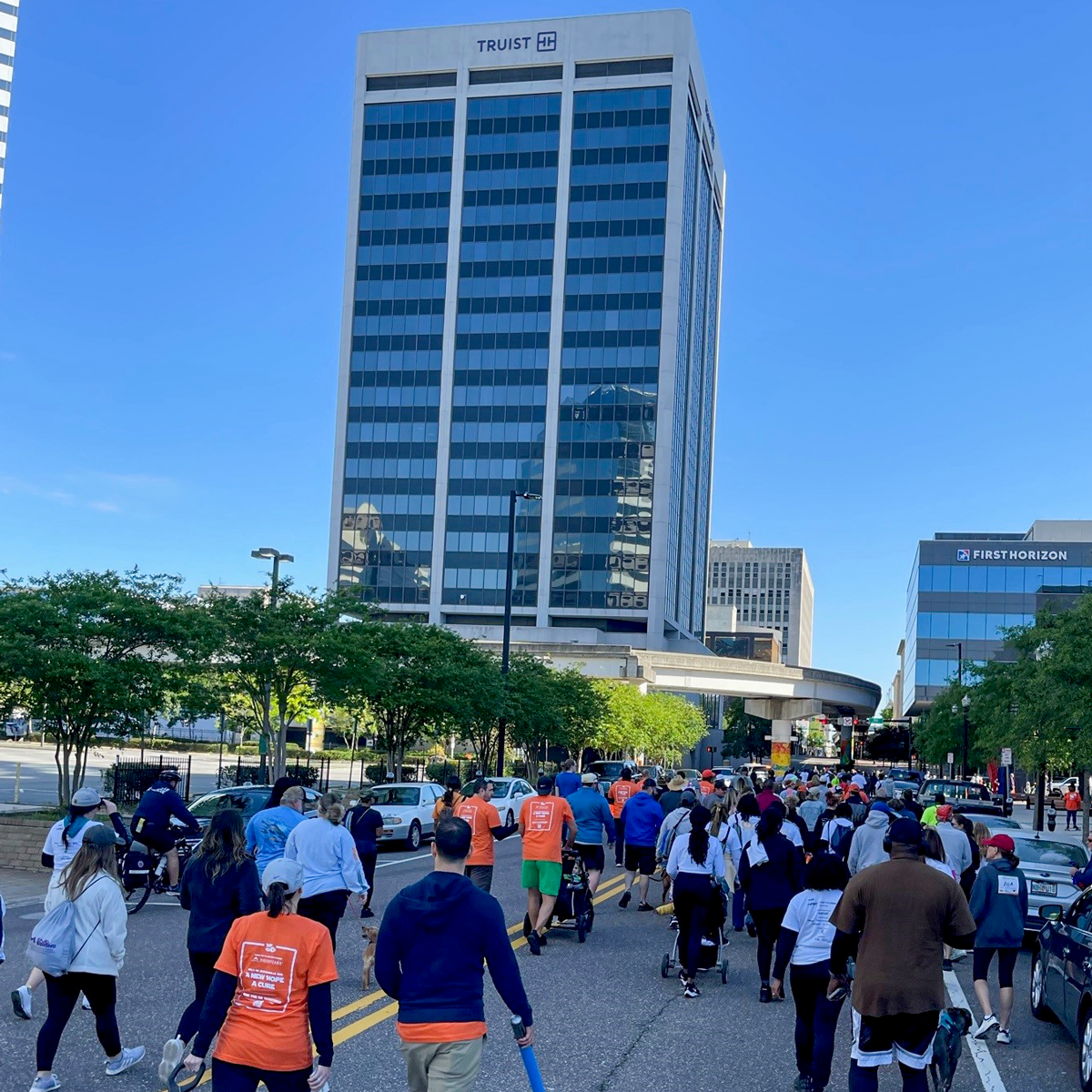 Walk MS Jacksonville raises money to support those living with MS.